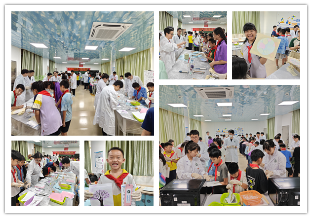 image-20240703090954-2